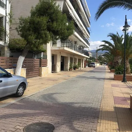 Summer Apartment